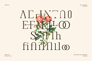 Oonelle - Elegant Serif Display, a Font by Indotype Foundry (Thumbnail 3 of 10)