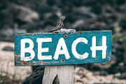 Sublime Beach Halloween Brush Font, a Font by Haynie Design Co. (Thumbnail 5 of 9)