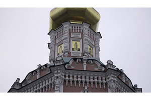 Golden cupola of the novodevichy, an Architecture Photo by Media Whale Stock