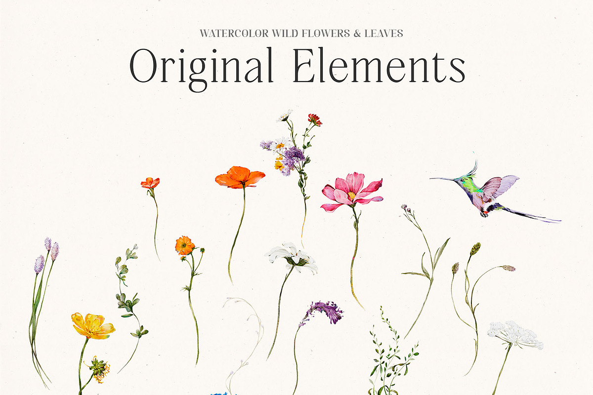 Watercolor Wildflowers & Leaves, a Decorative Illustration by Damian Roh (Photo 4 of 24)