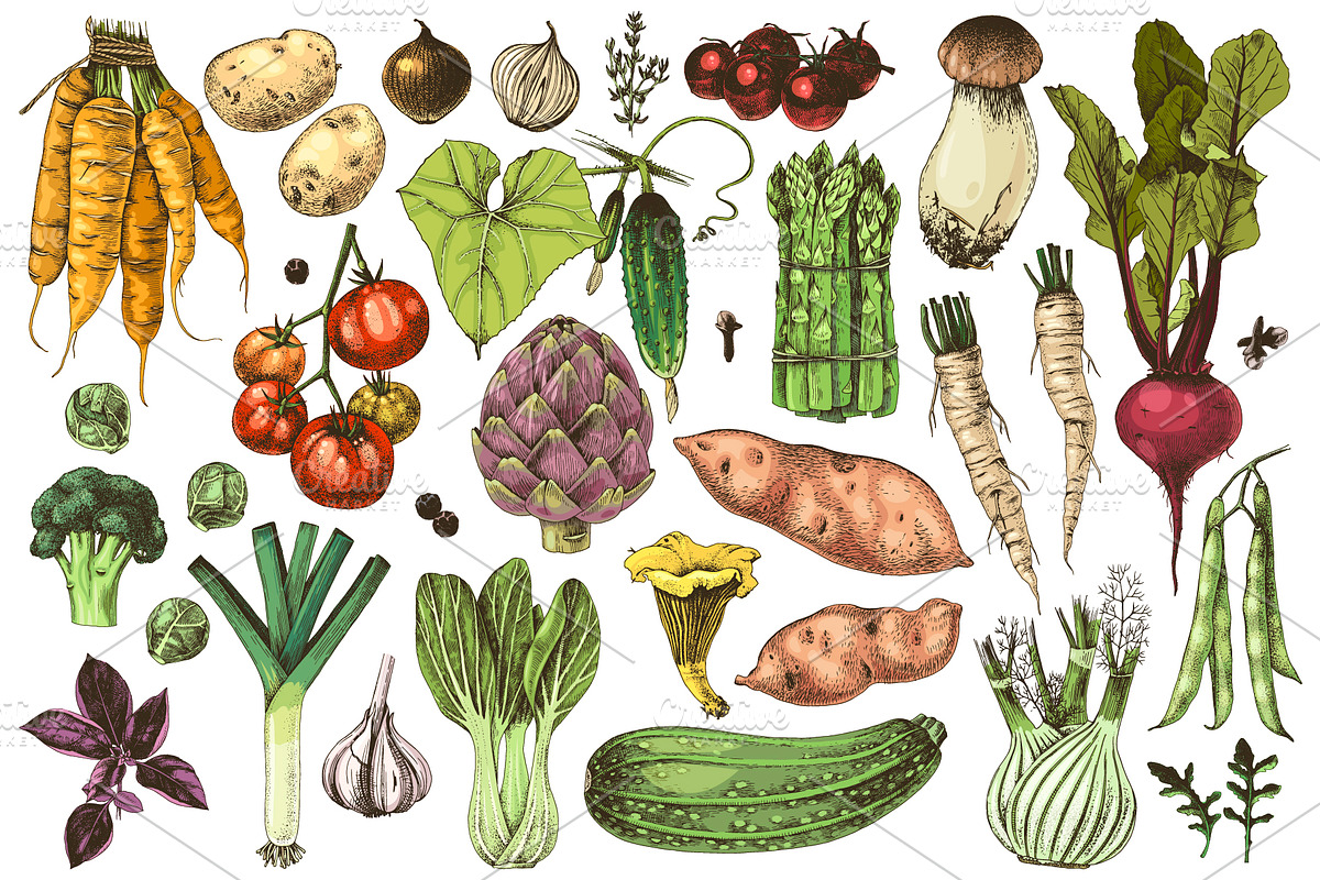 Natural food BUNDLE, a Food Illustration by handsketched (Photo 25 of 26)