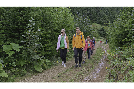 Tourist group of people is walking, a Person Photo by Media Whale Stock