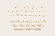 Cathylise Janetson Script Font, a Script Font by Storytype Studio (Thumbnail 15 of 16)