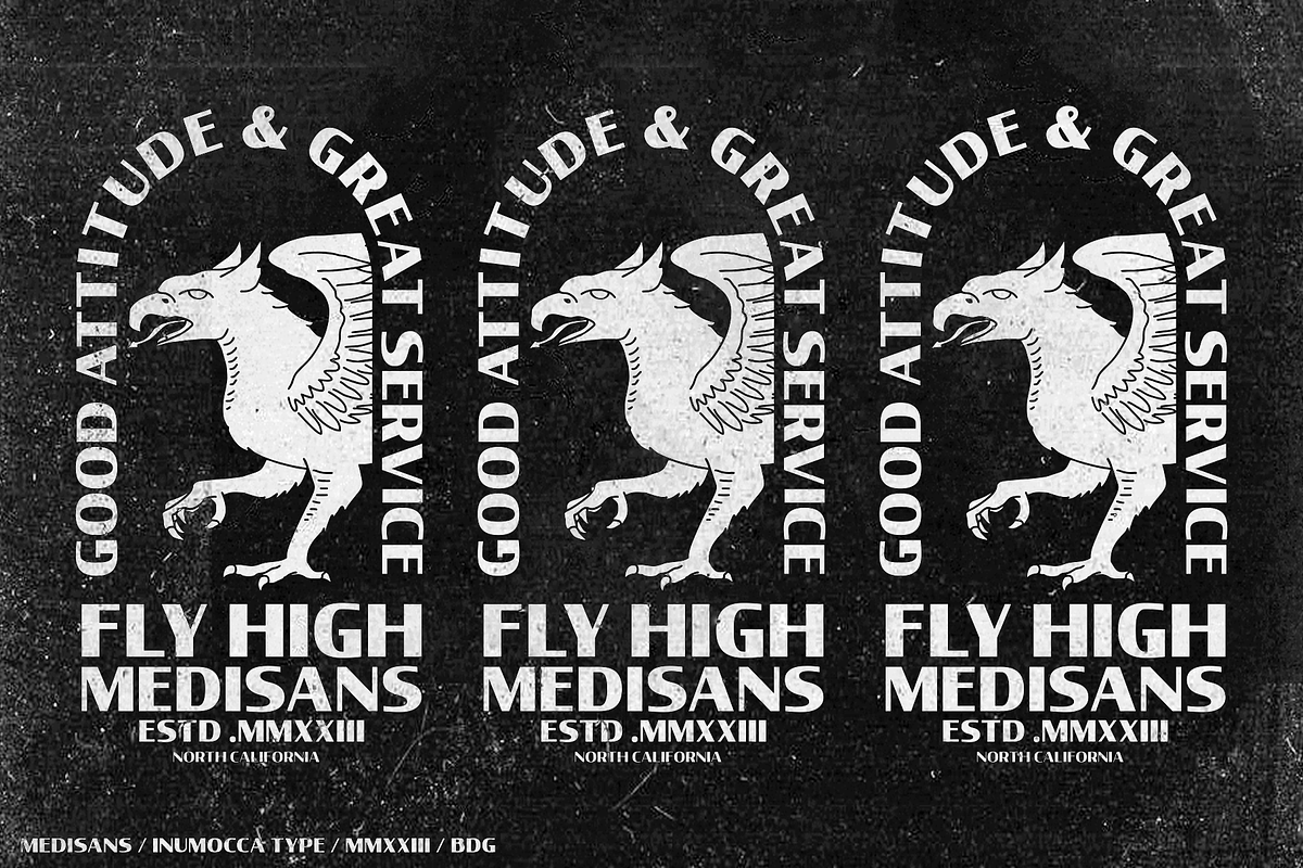 Medisans, a Sans Serif Font by inumocca_type (Photo 7 of 13)