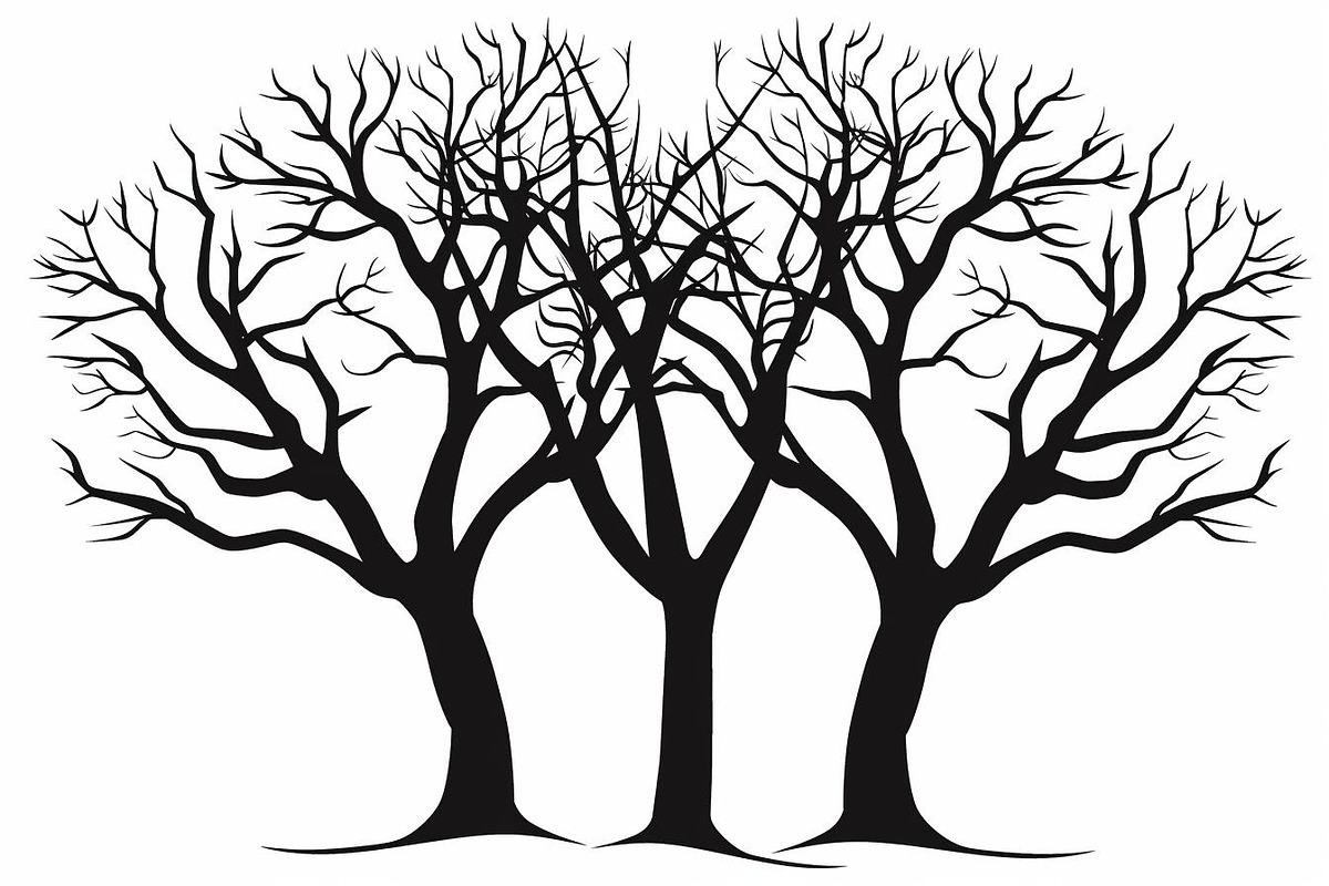 8 Tree Silhouette Vector Bundle, an Illustration by Designs_River (Photo 4 of 9)