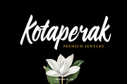 Preteoria Script, a Script Font by edukka (Thumbnail 3 of 10)