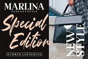 Fedattona Brush LS, a Font by GranzCreative (Thumbnail 7 of 18)
