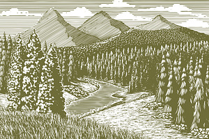 Woodcut Mountain Stream