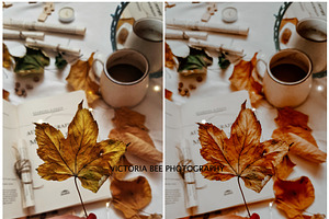 30 MOODY AUTUMN PRESETS