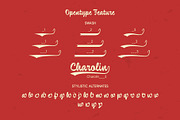 Strenth | Masculine Script, a Script Font by Lemonthe (Thumbnail 6 of 7)