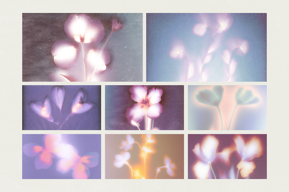 Bloom Veil: Dreamy Floral, a Background Graphic by Hello Muse (Photo 7 of 10)