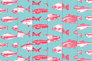 Fish, an Animal Illustration by Vera Holera (Thumbnail 4 of 7)
