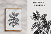 Exotic Plants. Designs & Patterns., a Pattern Graphic by Yevheniia (Thumbnail 3 of 9)