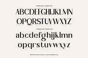 Orviele Clean Elegant Sans Font, a Sans Serif Font by Rasio Studio (Thumbnail 2 of 9)