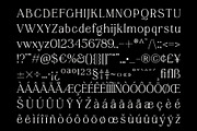 Aesthetic Wonder - Modern Aesthetic, a Serif Font by Prioritype Co (Thumbnail 20 of 20)