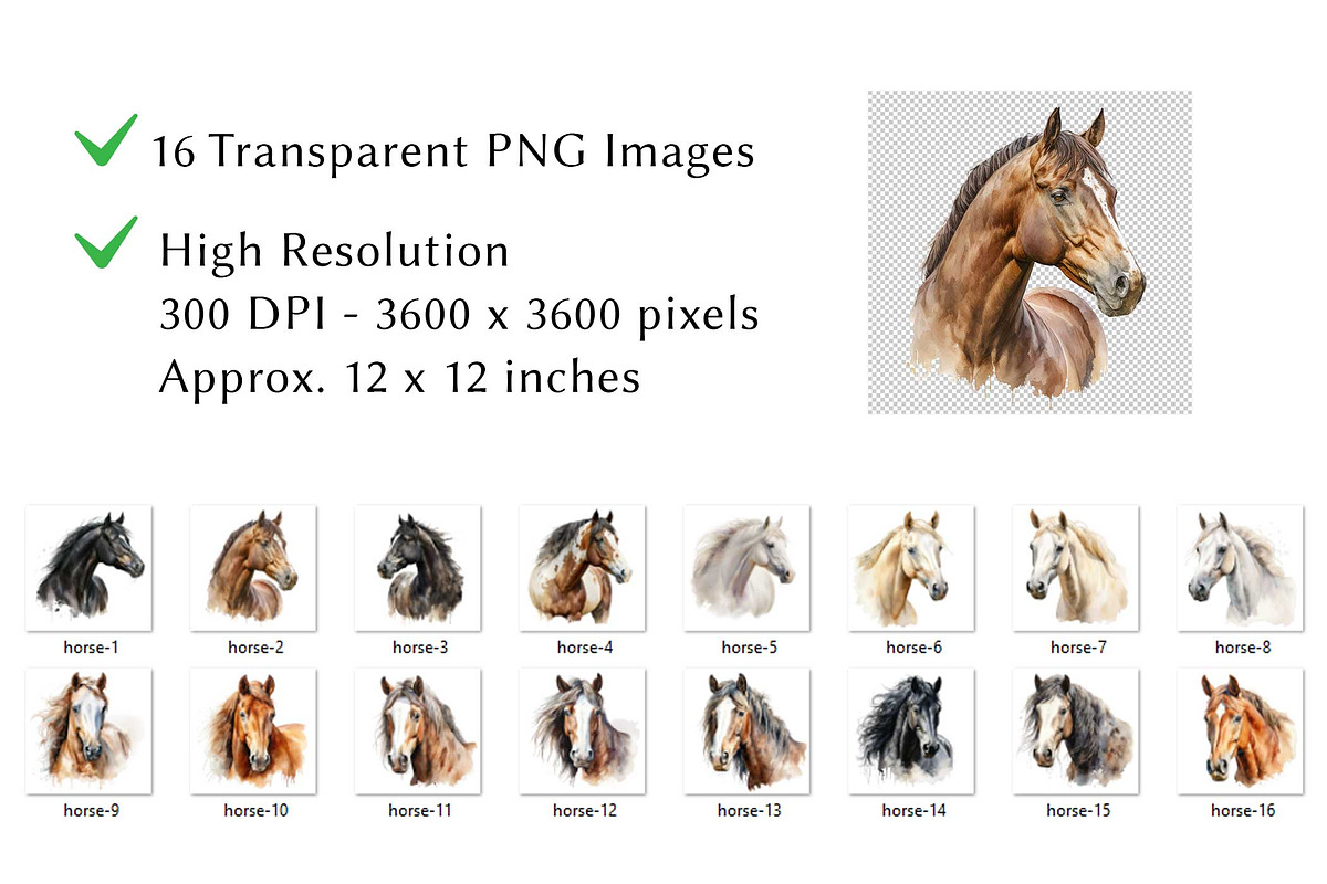 Horse Portrait Watercolor Clipart, an Animal Illustration by milkghost (Photo 2 of 2)