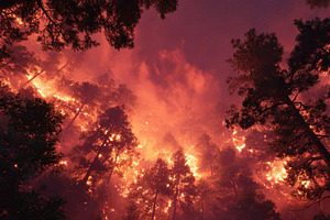 Fiery Inferno Wildfire Consumes Fore, a Photo by Pixeness Studio