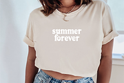 BANDEAU Soft Retro Serif Font, a Serif Font by Blush Font Co. (Thumbnail 4 of 4)