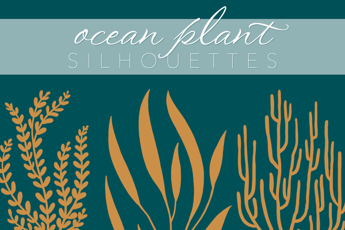 Ocean Plant Silhouettes, an Object Graphic by R.Ewers Designs (Photo 1 of 3)