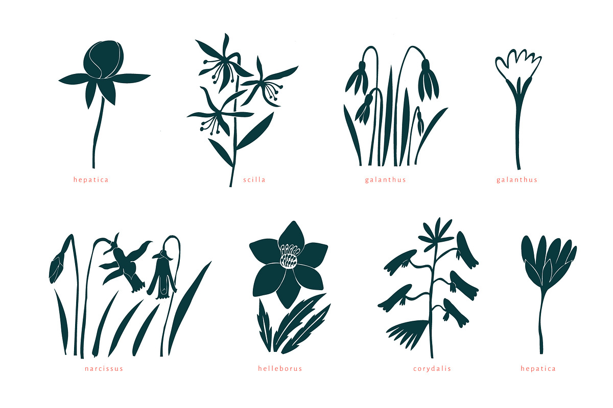 Spring Flowers Vector Collection, an Illustration by Lubov Illustrations Shop (Photo 2 of 6)