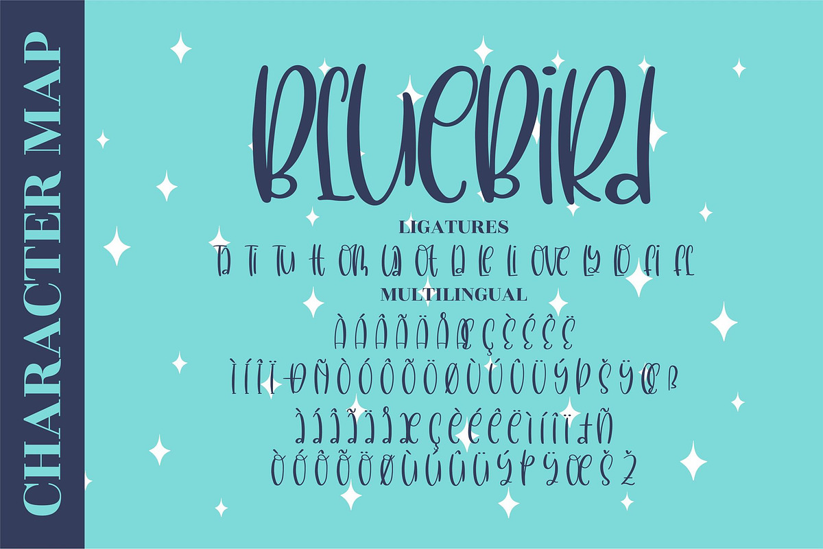 BlueBird Quirky LS, a Script Font by GranzCreative (Photo 9 of 11)