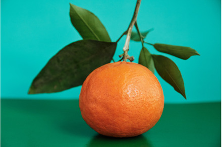 Fresh mandarin oranges fruit or, a Food & Drink Photo by Rohan Photography