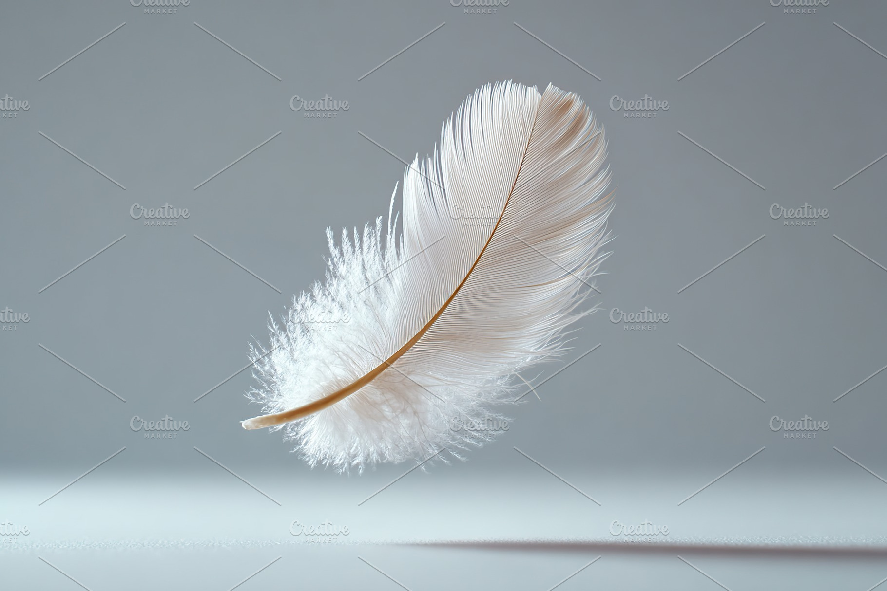 Delicate white feather softly floating against a neutral background in calm amb, a Photo by AlyaAnd