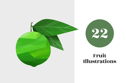 Fruit Illustrations