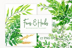 Ferns. Watercolor Botanical Clipart