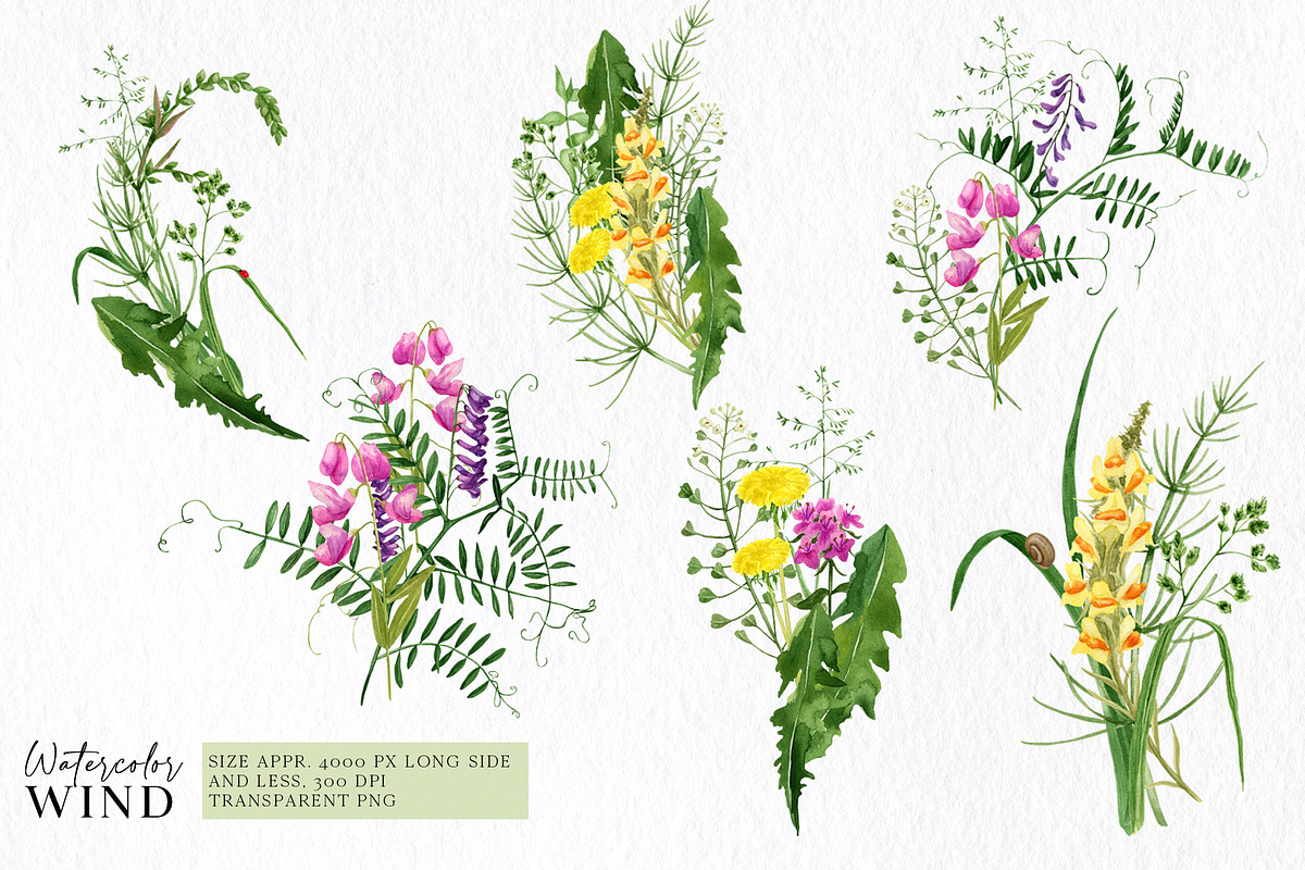 Wild floral clipart meadow flowers, an Illustration by Ksenia Shmakova (Photo 3 of 11)