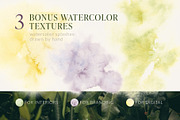 Passion Fruit Watercolor Clip Art, a Food Illustration by Elena Malgina Clipart (Thumbnail 15 of 16)