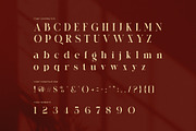The Rolkin Elegant Serif Font, a Serif Font by Perfectype (Thumbnail 7 of 7)