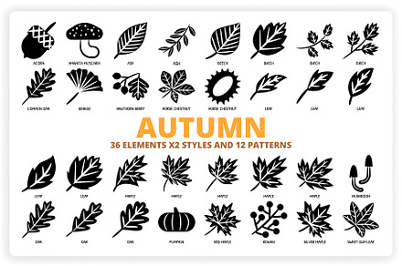 36 Autumn Elements + 12 Patterns