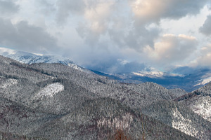 Winter morning Carpathian mountains, Ukraine, a Nature Photo by YuriyB