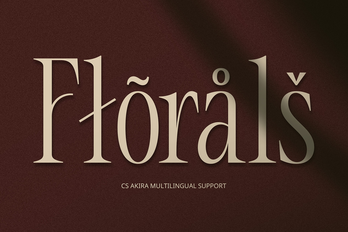 CS Akira – Stylish Font, a Serif Font by Craft Supply Co. (Photo 7 of 7)