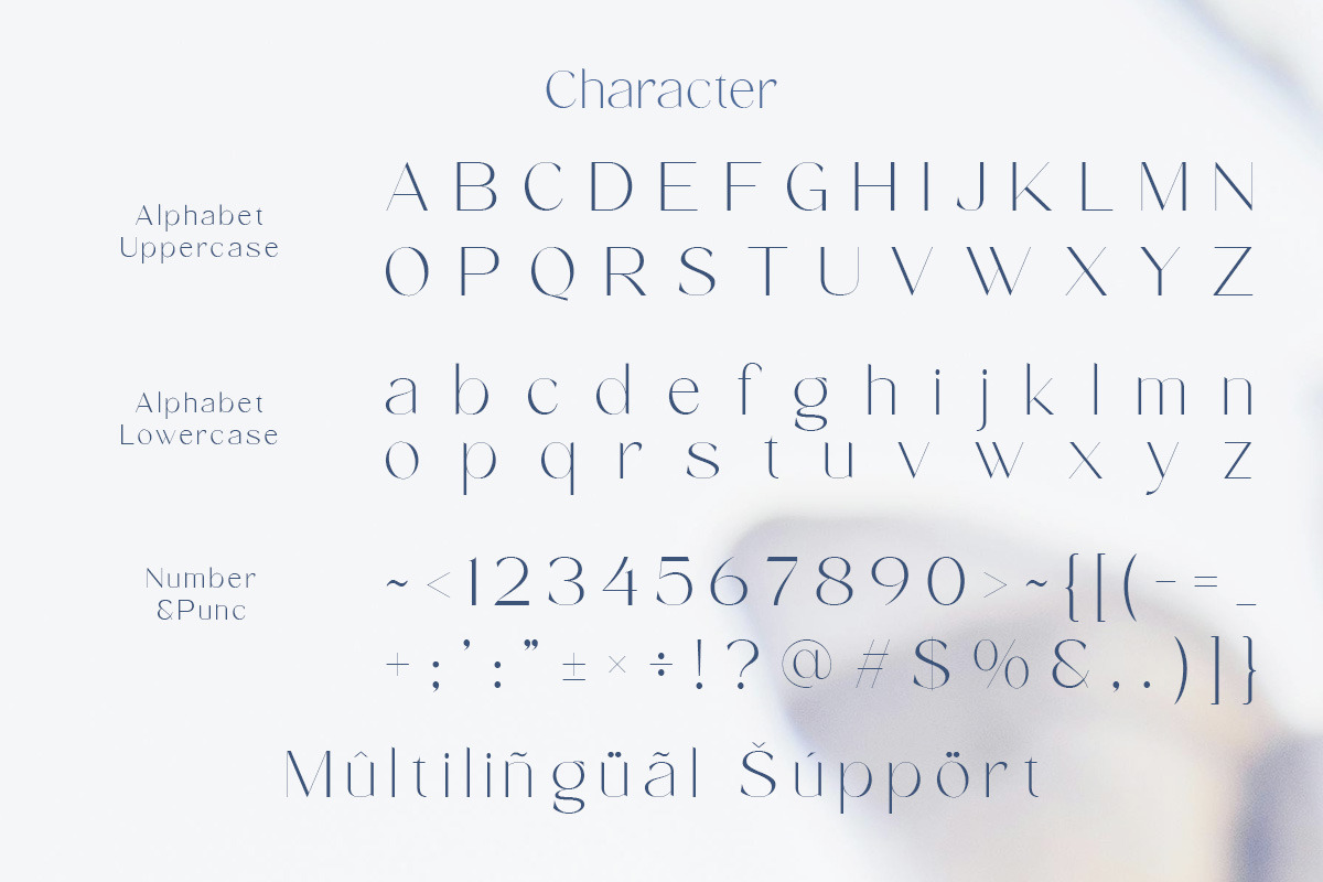 Moura - Modern Minimal Sans Serif, a Sans Serif Font by roomspace creative lab (Photo 11 of 11)