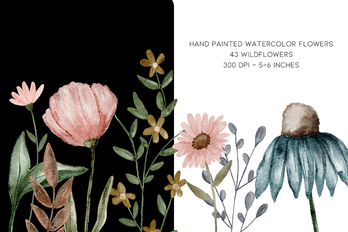 Painted Watercolor Flowers Clipart, a Decorative Illustration by Murphy & Frank (Photo 5 of 8)