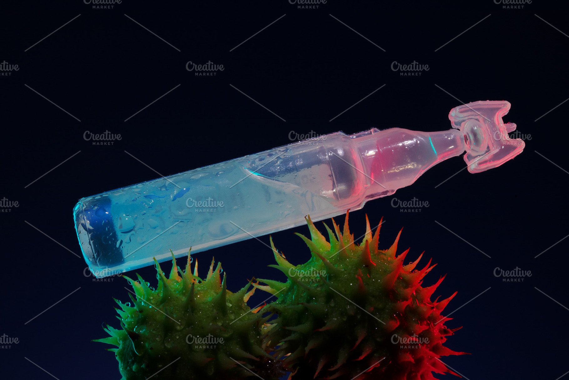 Single plastic ampoule resting on two green spiky seed pods, dra, a Health & Medical Photo by Ales Munt