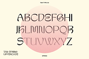TAN-SPRING, a Sans Serif Font by TanType (Thumbnail 3 of 13)
