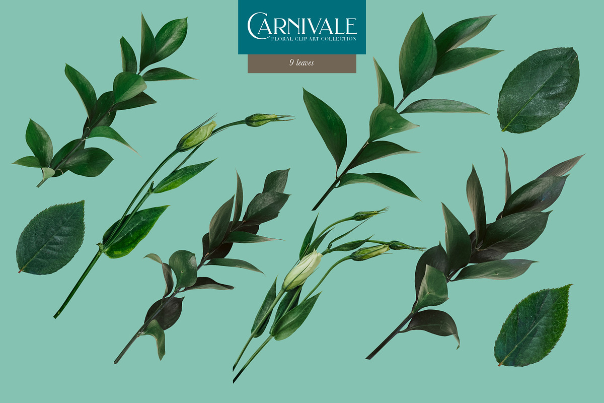 Carnivale Floral Clip Art Collection, an Object Graphic by Eclectic Anthology (Photo 18 of 21)