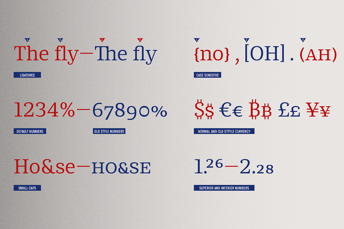 Chucara next, a Serif Font by Letritas (Photo 3 of 14)