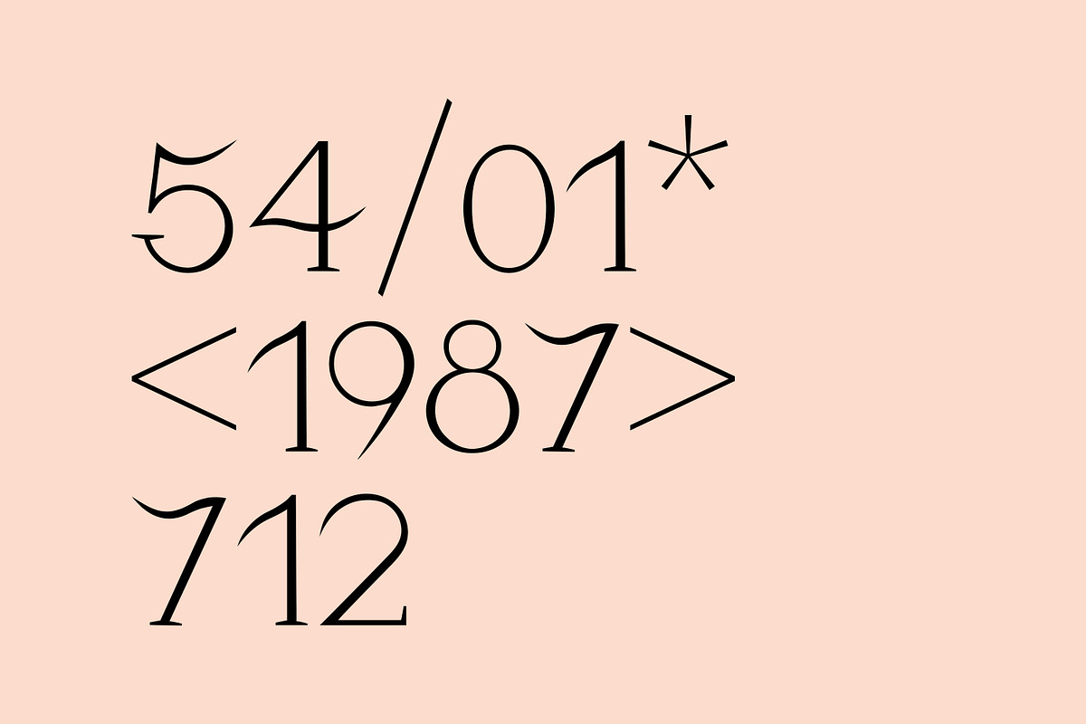 Modern ligature-rich font, a Serif Font by elvinova (Photo 12 of 18)