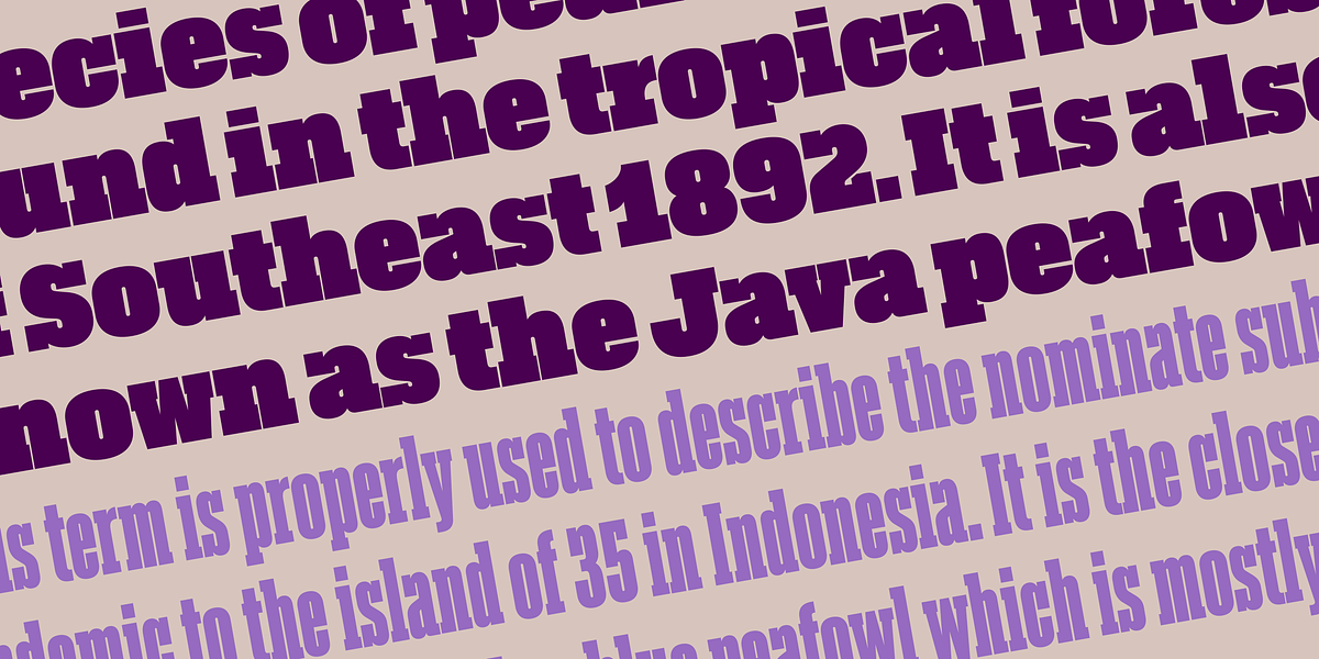 Akkordeon Slab, a Slab Serif Font by Emtype Foundry (Photo 2 of 9)