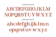 Mocharia Modern Elegant Display Font, a Serif Font by Vadovastd (Thumbnail 2 of 10)