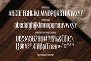 Antaline - Display Font, a Serif Font by Novitype (Thumbnail 8 of 11)