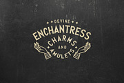 Wild Outdoors Adventure Logos 2, a Branding & Logo Template by Banana Night Fighter (Thumbnail 4 of 8)