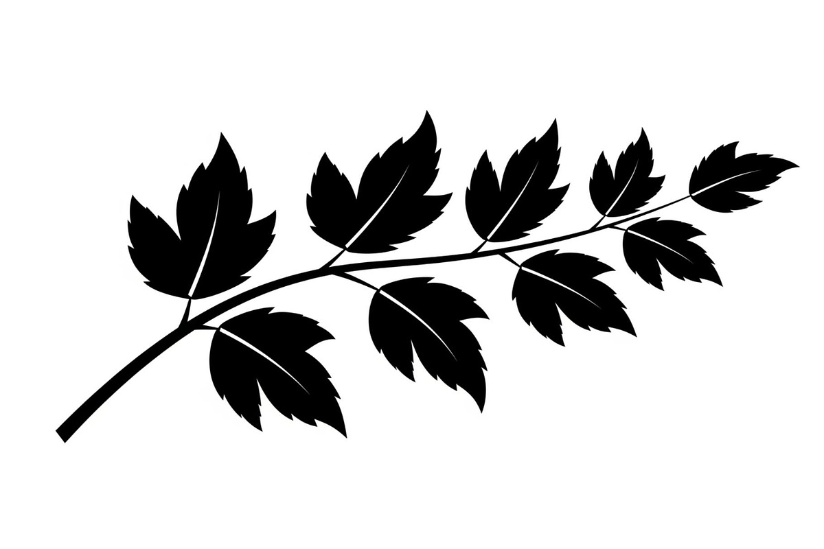 Botanical Leaf Silhouette Bundle, an Illustration by yasushie (Photo 18 of 51)