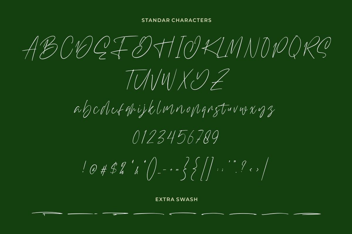 Williamson - Luxury Signature Font preview 8