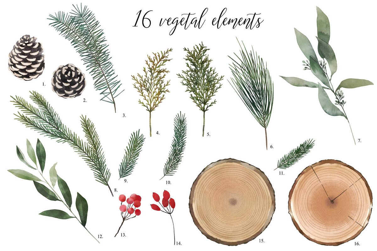 Natural Christmas set, a Decorative Illustration by marie dricot (Photo 4 of 7)