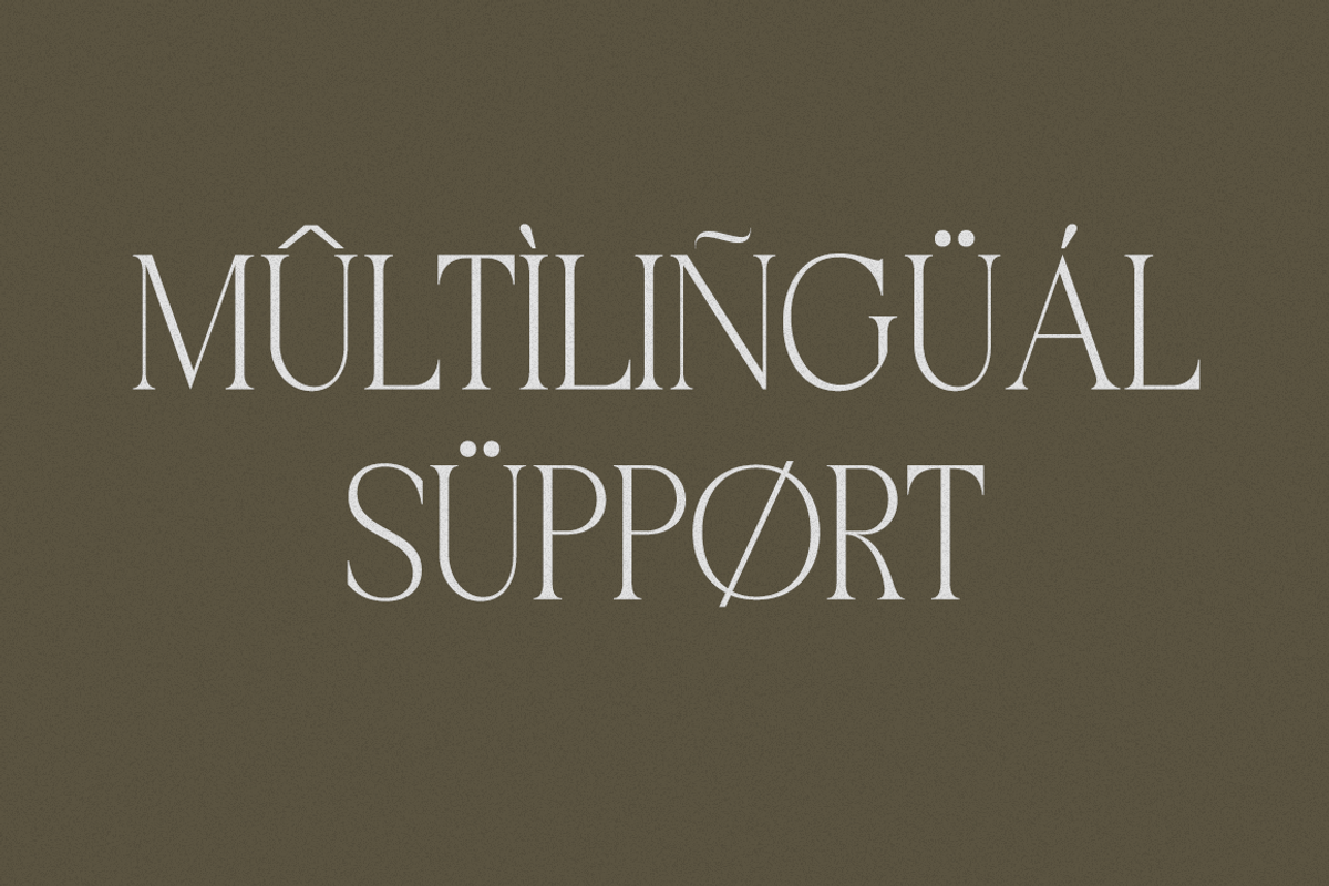 Bachelors Display, a Serif Font by RockboyStd (Photo 7 of 12)